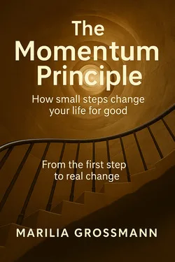 The Momentum Principle — habits and inner balance