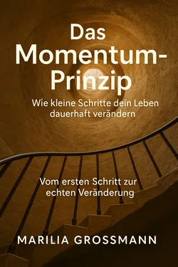Das Momentum-Prinzip Buchcover